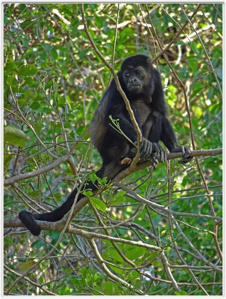 Samara (Costa Rica)