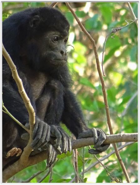 Samara (Costa Rica)