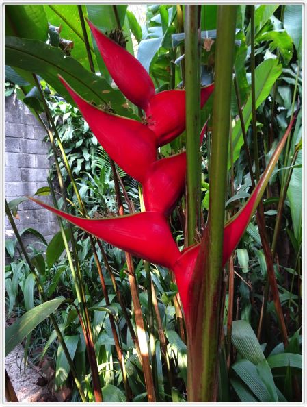 San José (Costa Rica)