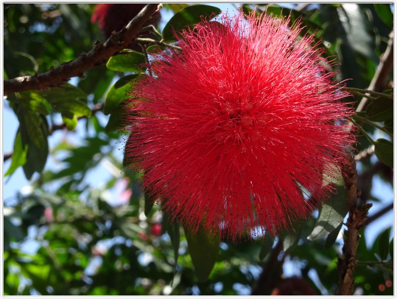 San José (Costa Rica)