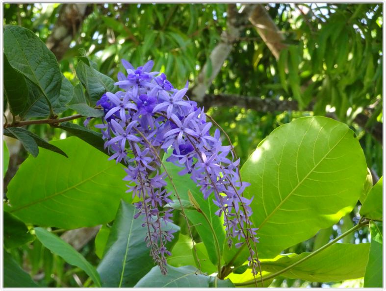 Catarina (Nicaragua)