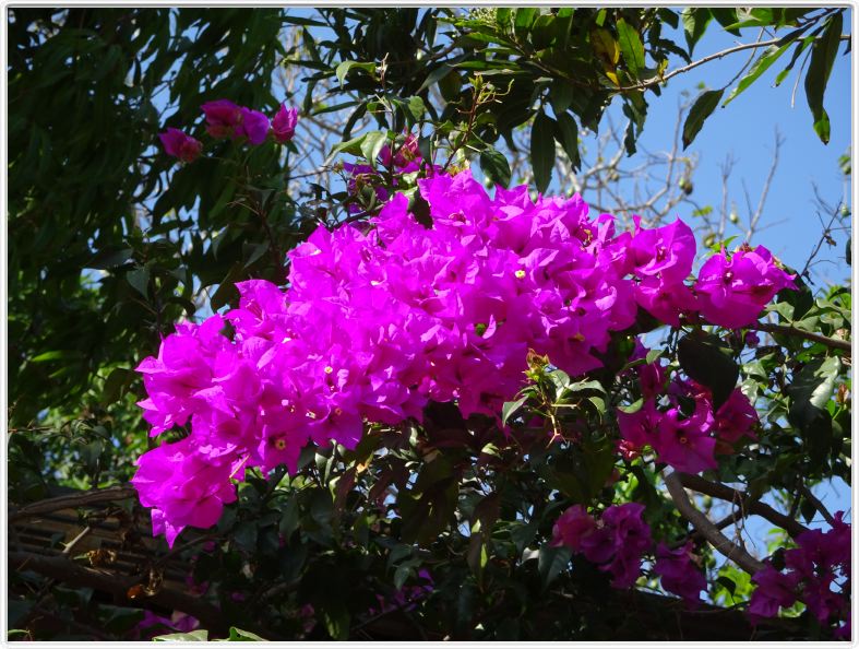 Catarina (Nicaragua)