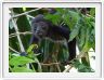 Samara (Costa Rica)