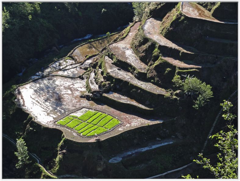 De Banaue à Bontoc