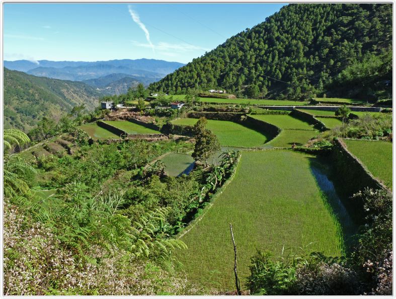 De Banaue à Bontoc
