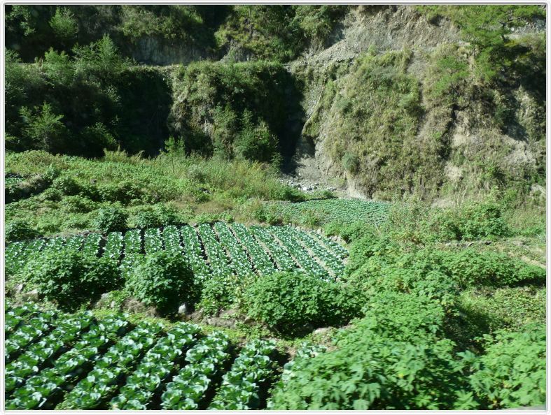 De Banaue à Bontoc