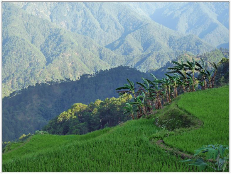 De Sagada au Mont Data