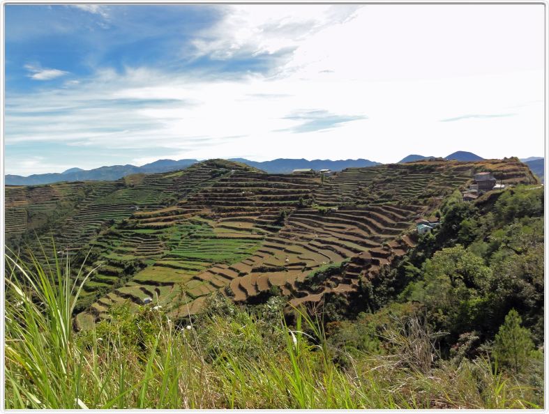 Du Mt Data à Baguio (Halsema Highway)