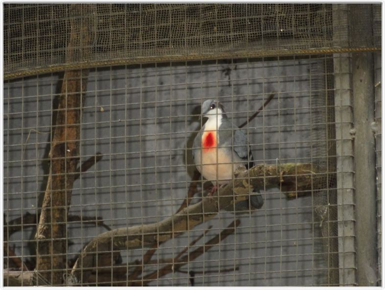 Jardin zoologique et botanique de Dumaguete