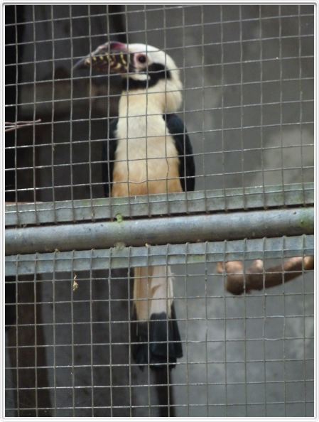 Jardin zoologique et botanique de Dumaguete
