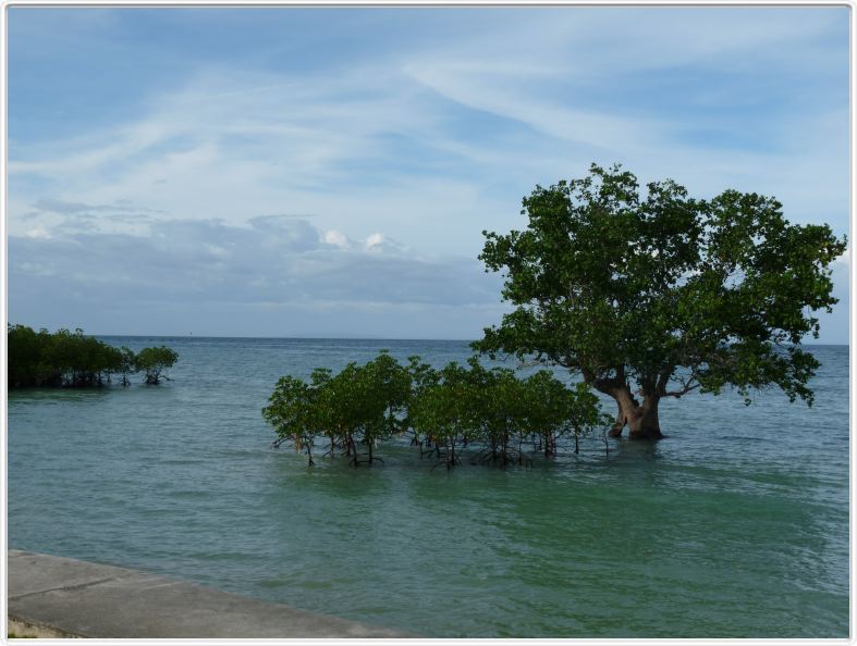 Poursuite de la visite de l'Ile de Siquijor