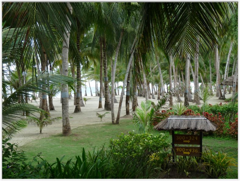 Parc de l'hôtel Bohol Beach Club (Pangalo Island)