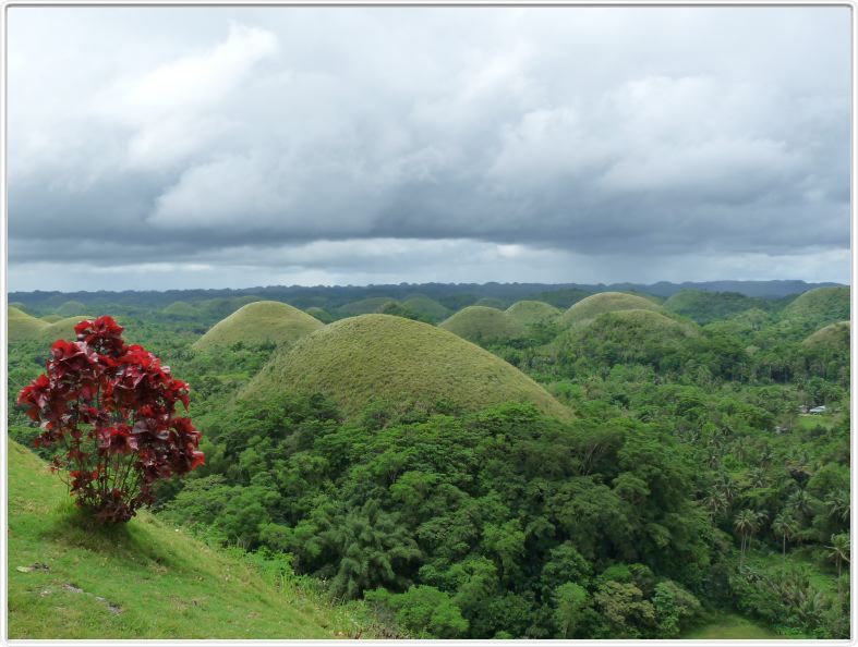 Les collines de chocolat (Ile de Bohol)
