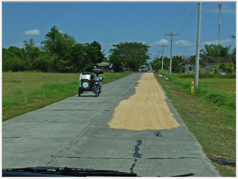 En route pour Banaue par les plaines du Luzon Central