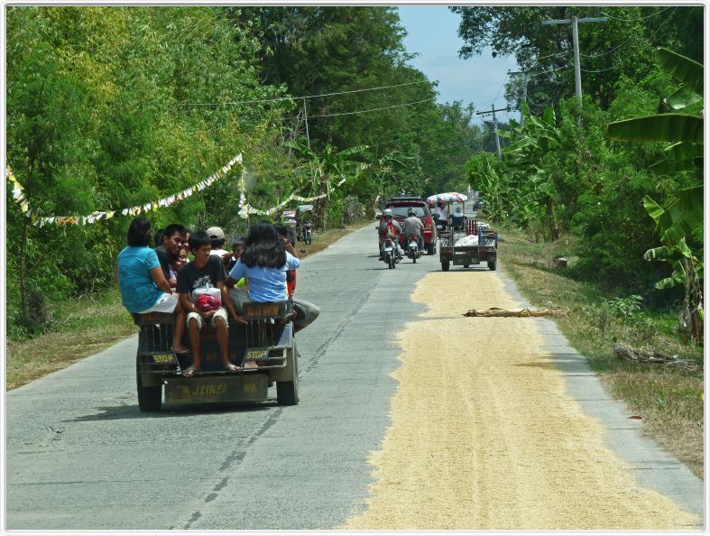 En route pour Banaue par les plaines du Luzon Central