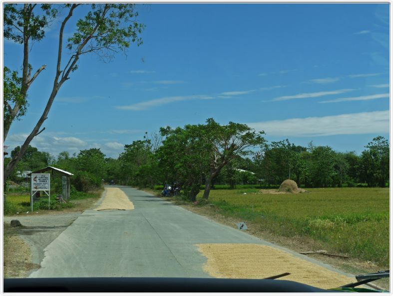En route pour Banaue par les plaines du Luzon Central
