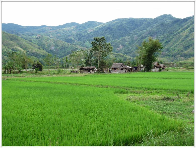 Poursuite de la route vers Banaue