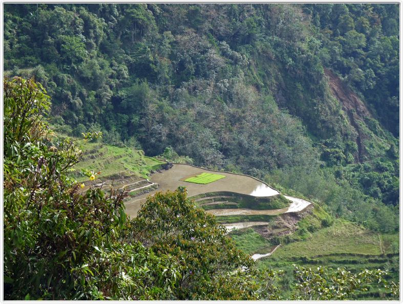 Banaue