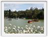 Parc public de Baguio
