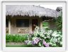 Parc de l'hôtel Bohol Beach Club (Pangalo Island)