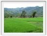 Poursuite de la route vers Banaue