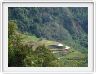 Banaue