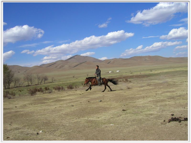 Démonstration d'un mongol à cheval