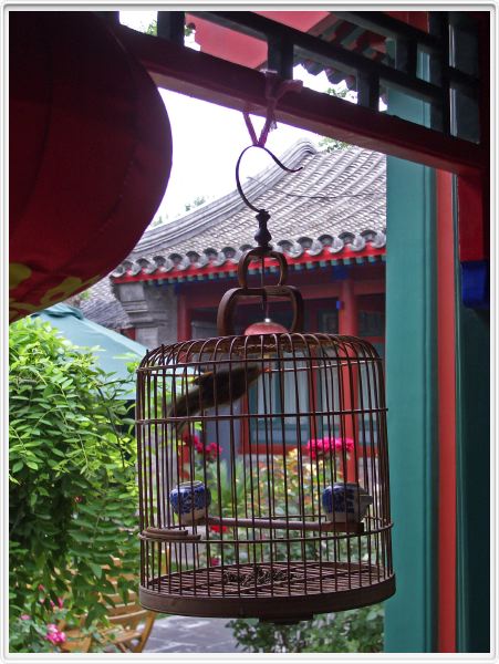 Notre hôtel dans le Dengcao Hutong