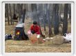 La cuisinière au travail
