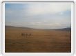 Paysage vu du train - Le vent de sable s'est levé