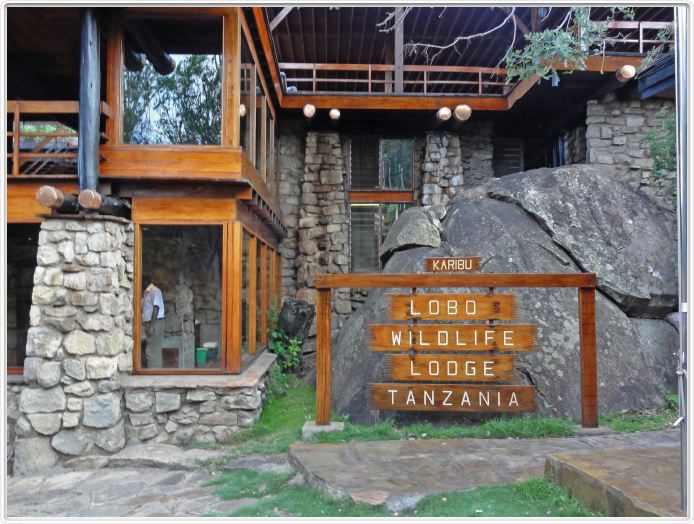 Notre lodge : Lobo wildlife Lodge