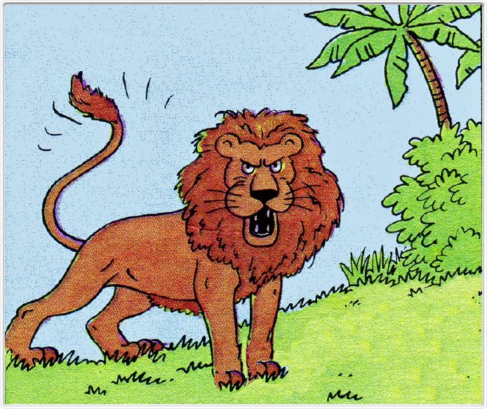 Nos premiers lions