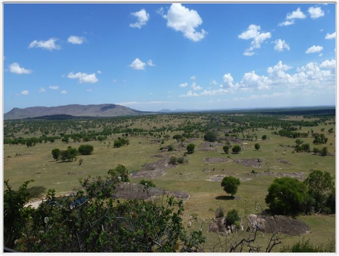 Notre lodge : Lobo wildlife Lodge