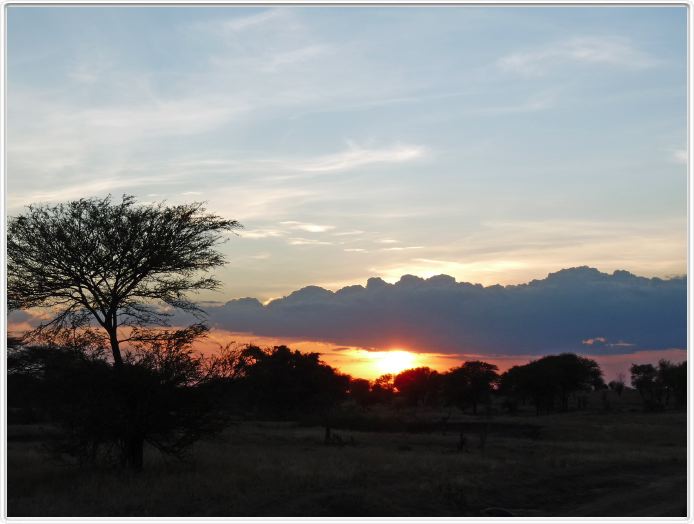 Serengeti, région de Lobo