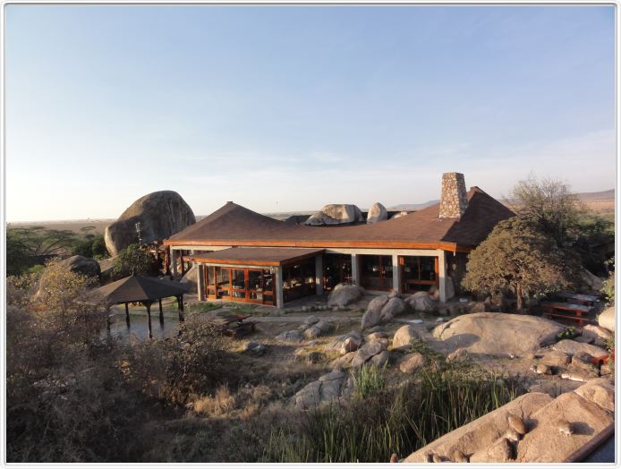 Séjour au Seronera Wildlife Lodge