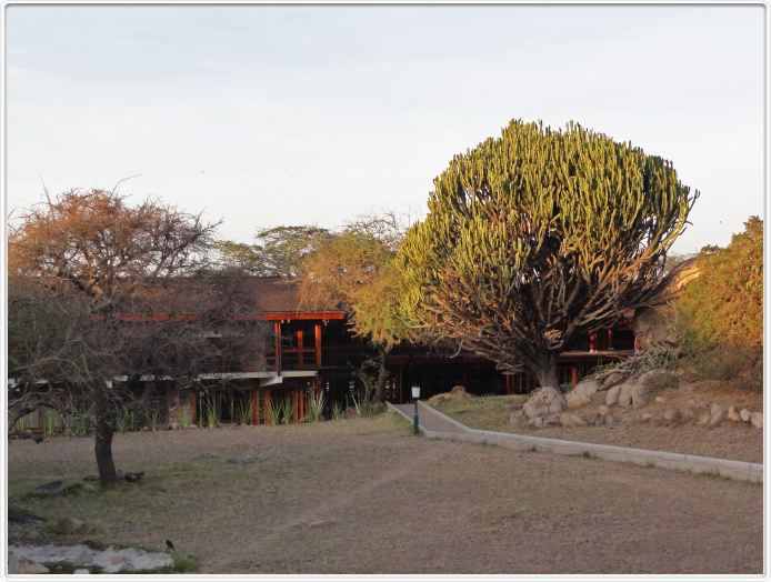 Seronera Wildlife Lodge