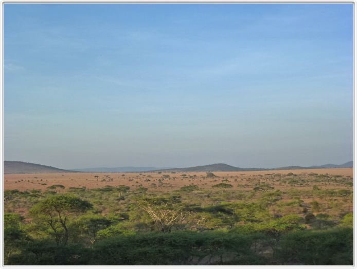 Seronera Wildlife Lodge