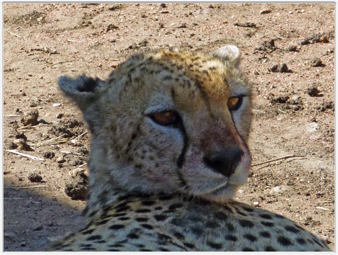 En route pour le Cratère de Ngorongoro