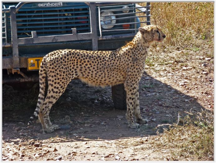 En route pour le Cratère de Ngorongoro
