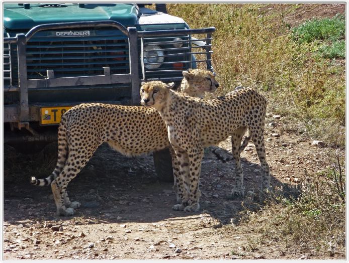 En route pour le Cratère de Ngorongoro