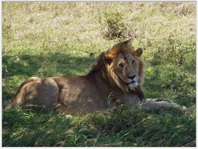 En route pour le Cratère de Ngorongoro