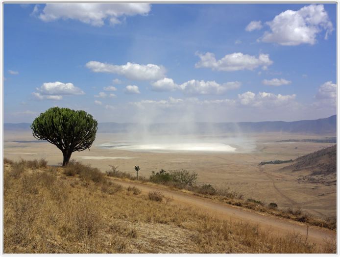 Cratère de Ngorongoro