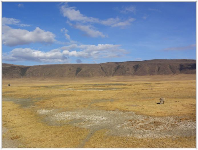 Safari dans le  Cratère de Ngorongoro