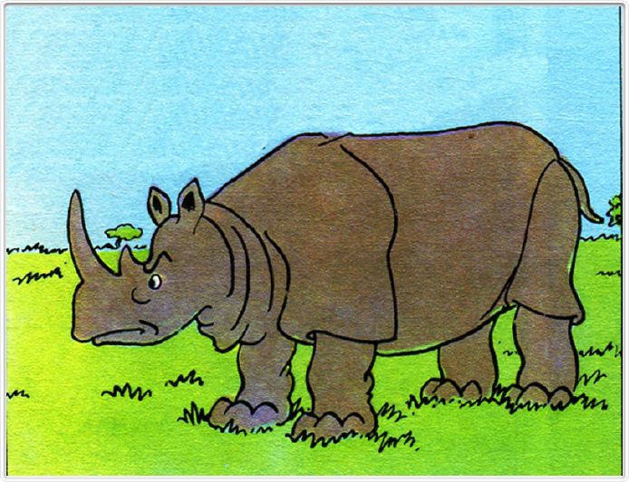 Le rhinocéros
