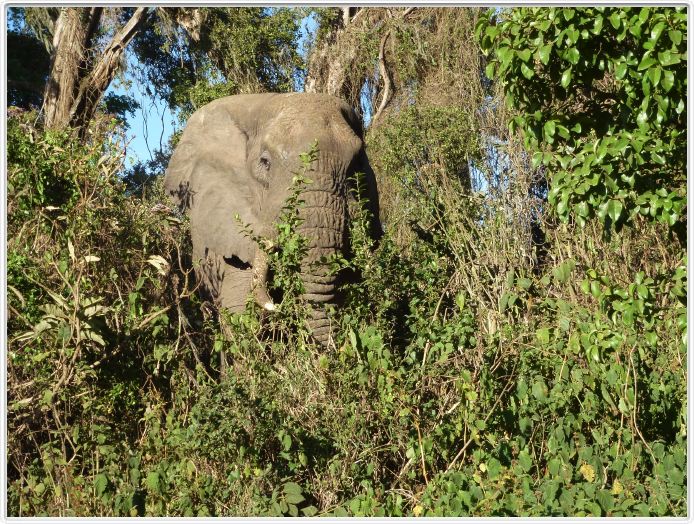 Ngorongoro Wildlife Lodge