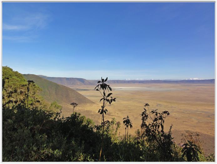 En route pour le Parc National Arusha
