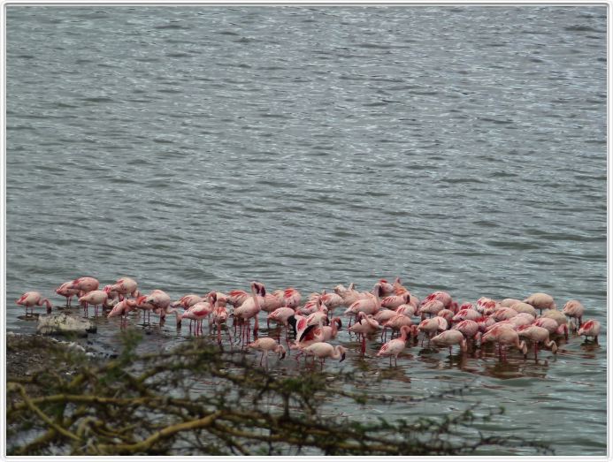 Parc National Arusha