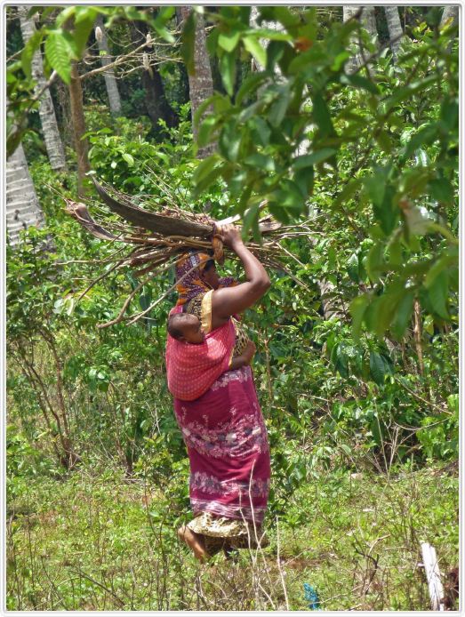 Zanzibar, Visite du Jardin aux épices.