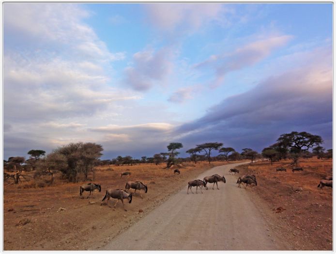 Parc national Tarangire