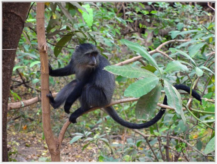 Lake Manyara national Park